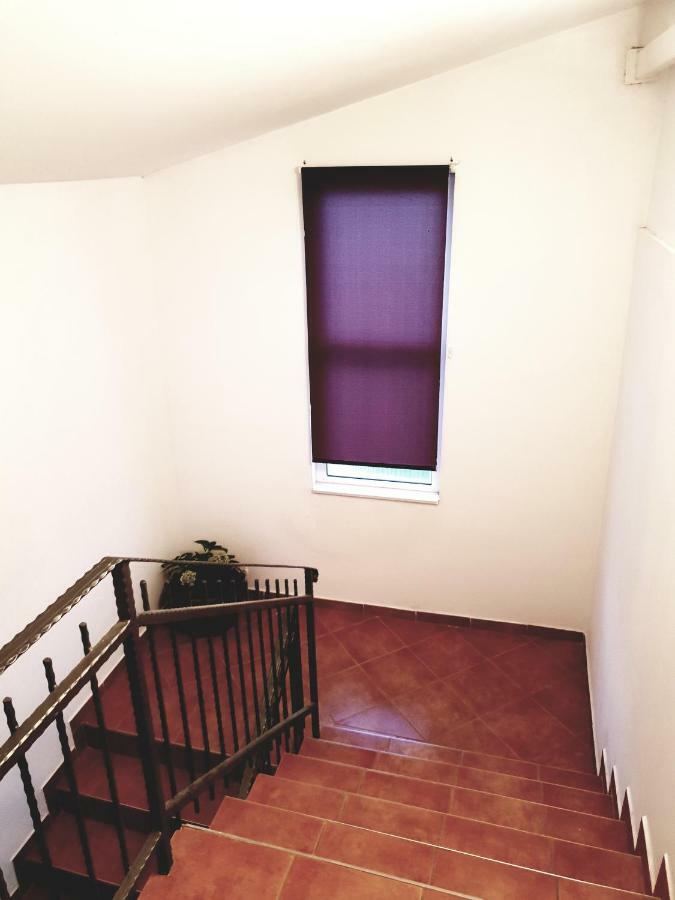 Apartments Petrović Pirovac Zewnętrze zdjęcie